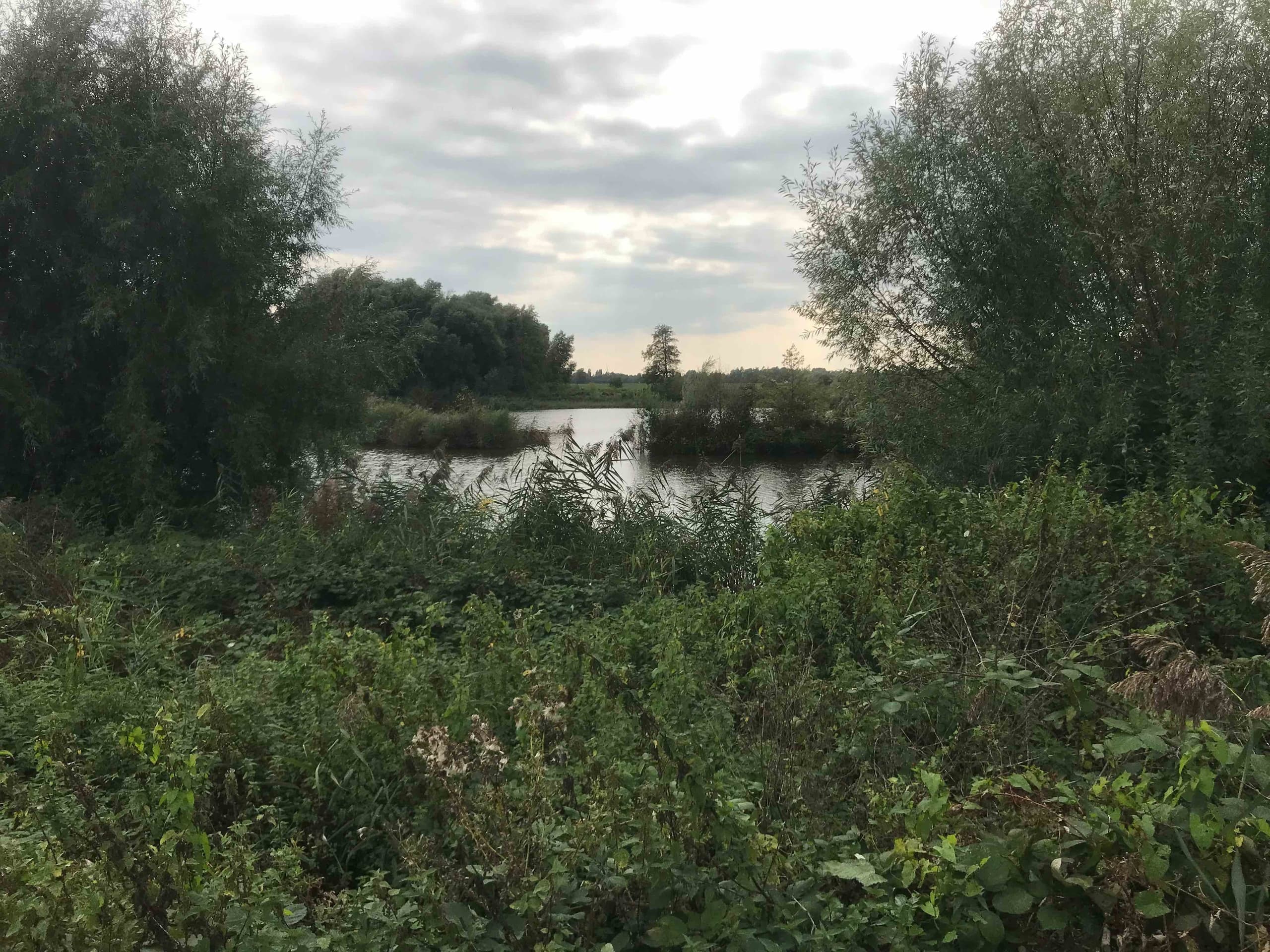 Water Activities: Van Elst Boat Trip to De Blauwe Kamer