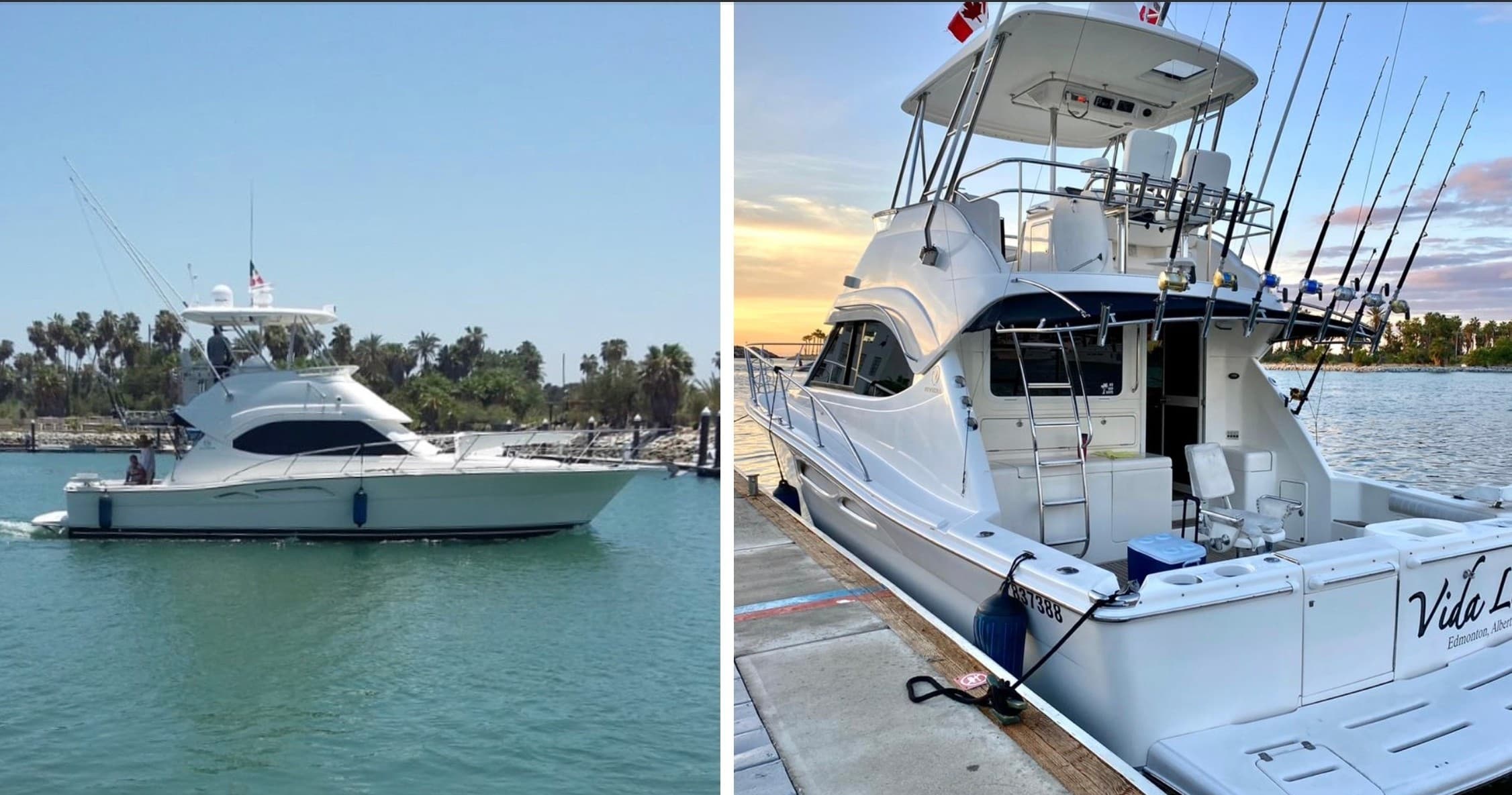 Fishing Charters with InCabo Travel on the Coast