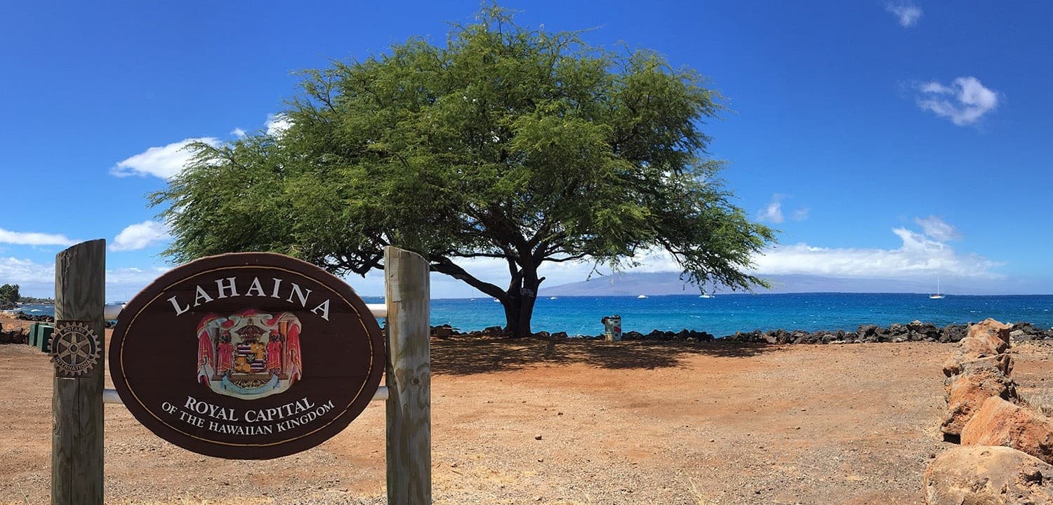 Lahaina shoreline sign by tree with ocean view on Maui