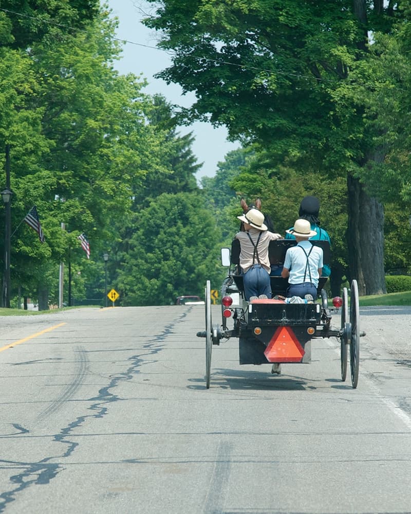 Amish Brown Bag Tour: Food, Cheese & Wine in Holmes County, Ohio
