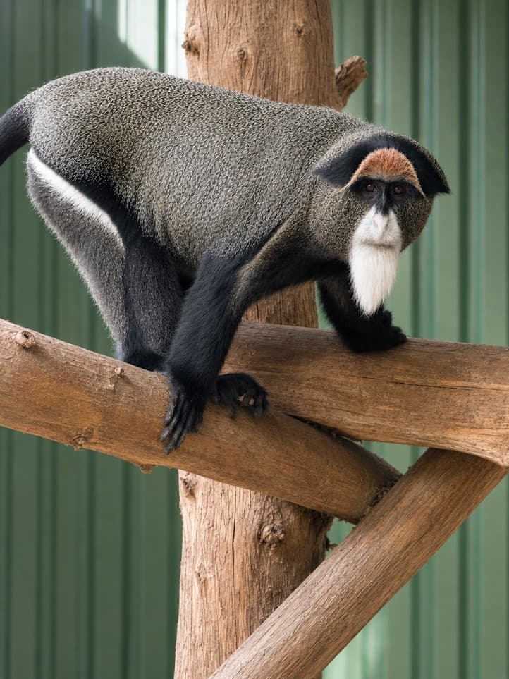 Canton Grand Safari: Hands-On Encounters with 140-Plus Exotic Animals in Grand Saline photo 2