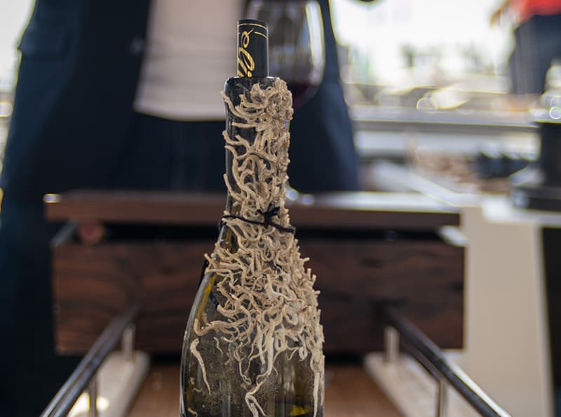 Sailing & Wine Tasting Experience at Barcelona Cruise Collective