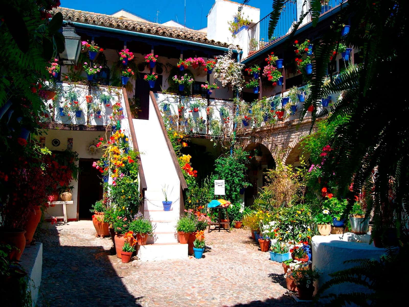 Discover Córdoba’s Ruta de Patios de San Basilio: A Vibrant Walk Through History and Color