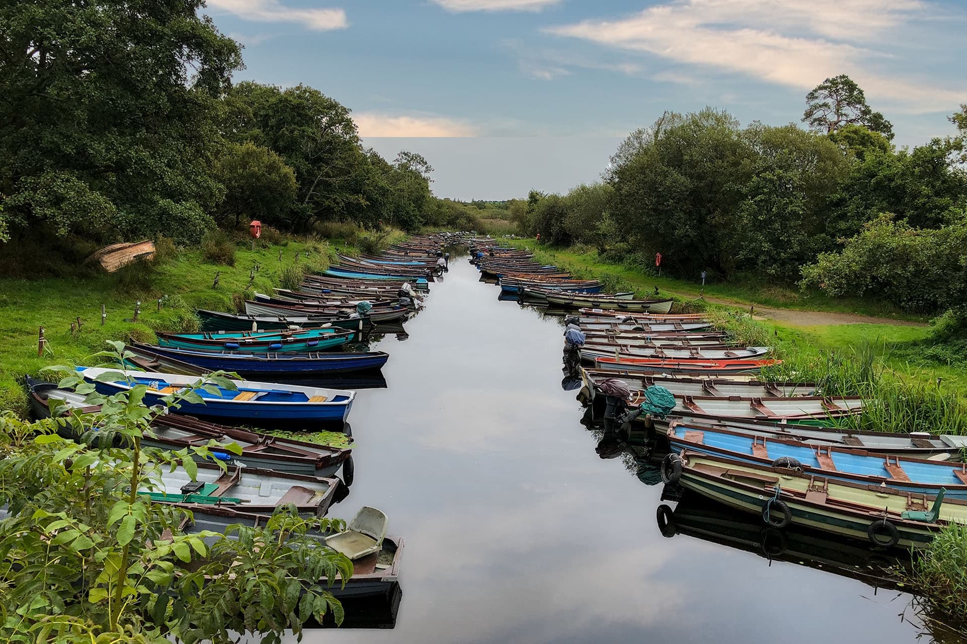 Wildlife & Waterfall Adventure at Killarney National Park