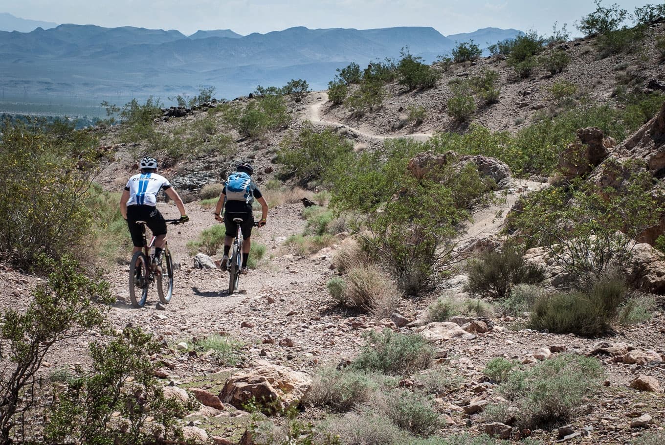Sonoran Desert Mountain Biking in Scottsdale, AZ