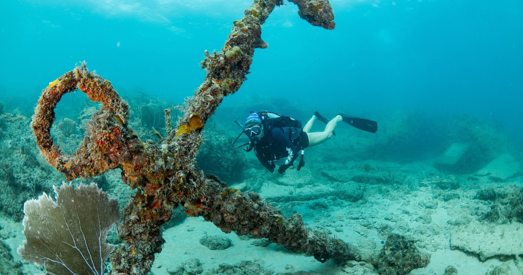 Boca Raton Boat Dives — Guided Offshore Scuba with Force-E photo 4