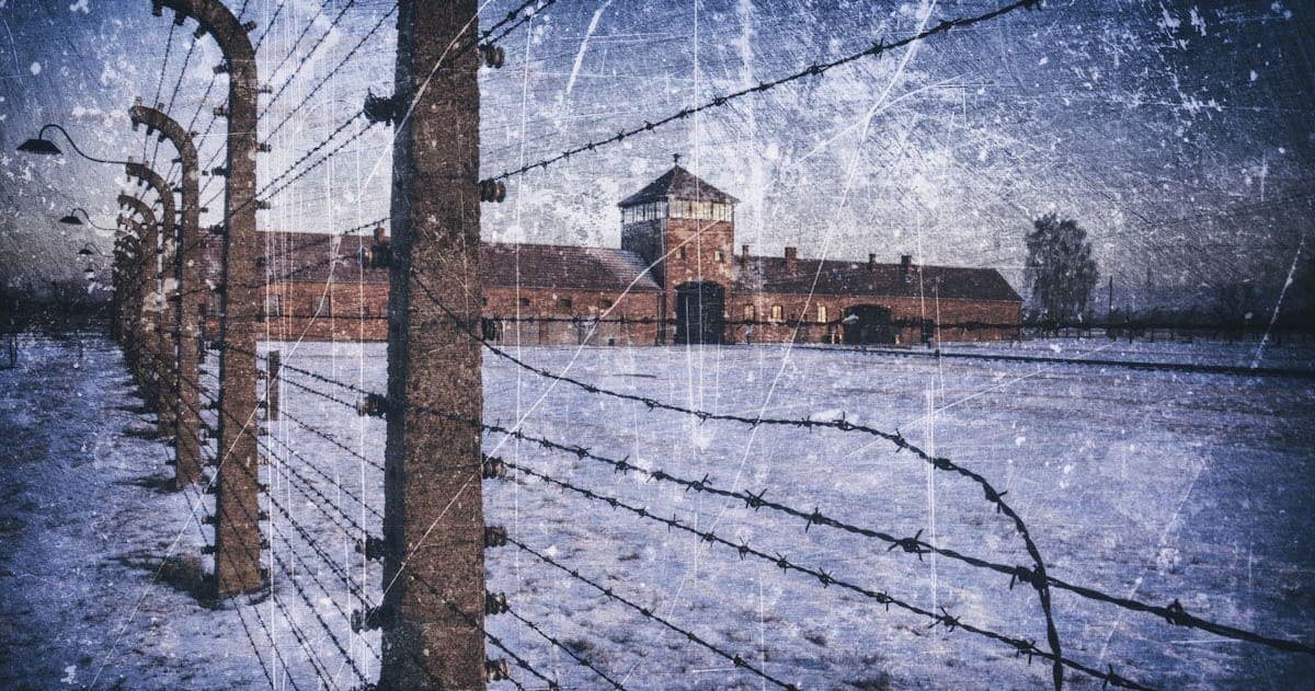 Auschwitz & Wieliczka Salt Mine Tour by AB Poland Travel