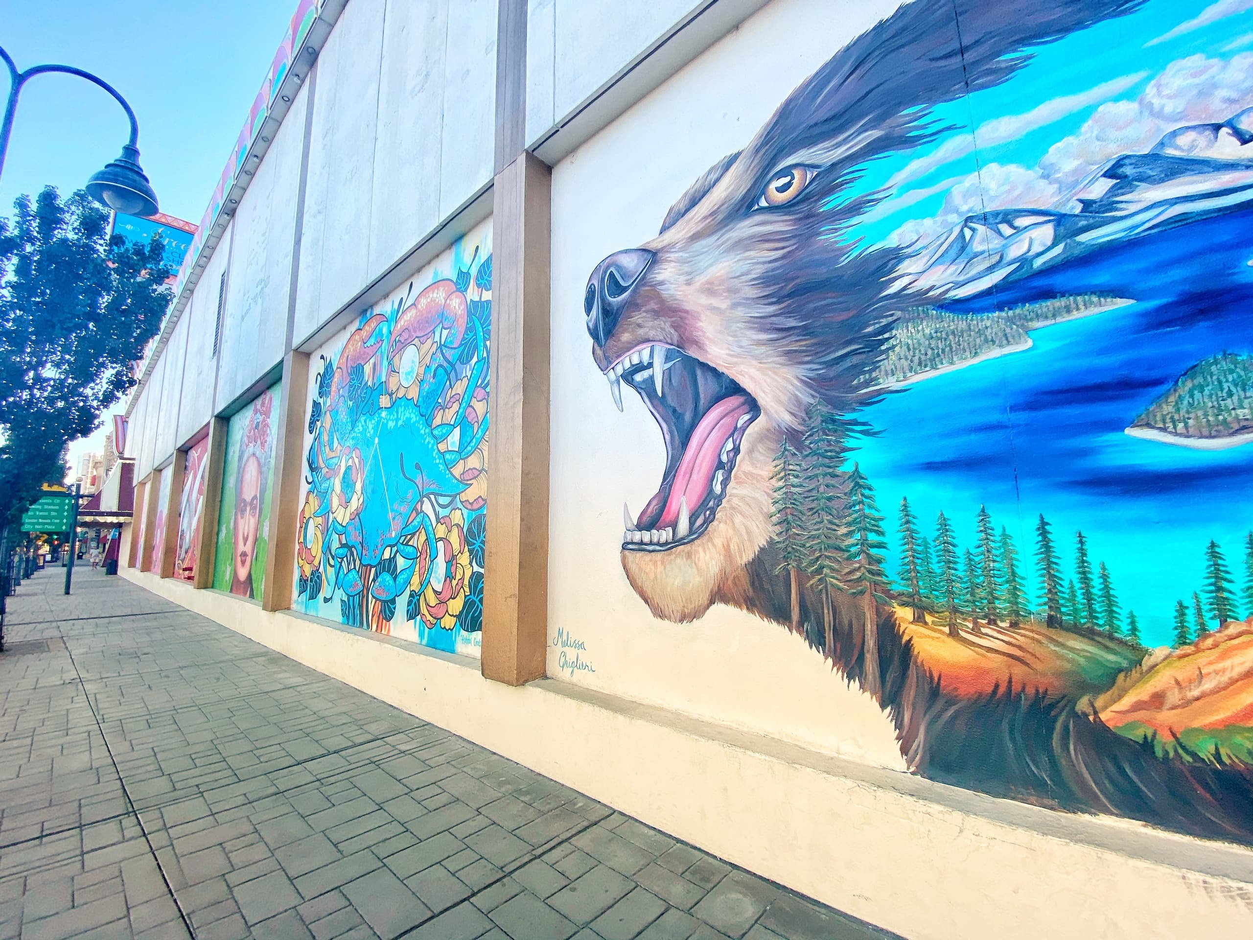 Street mural of snarling wolf along urban walkway showcasing local art