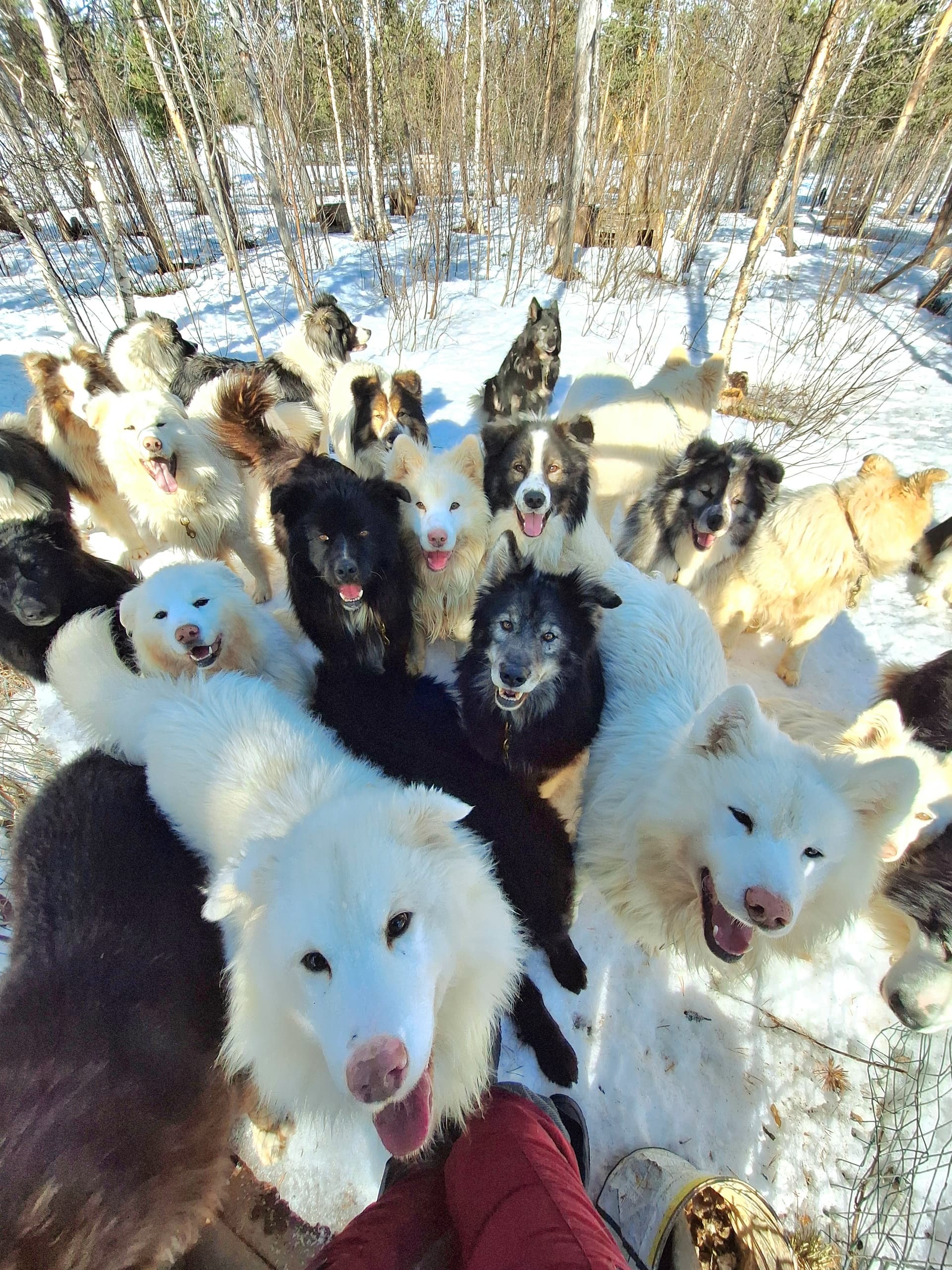 Nordic Winter Adventure with Primitif Aventure in Inari