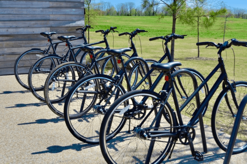 Bike Rental at Shelby Farms Park: Scenic Trails & Family Fun