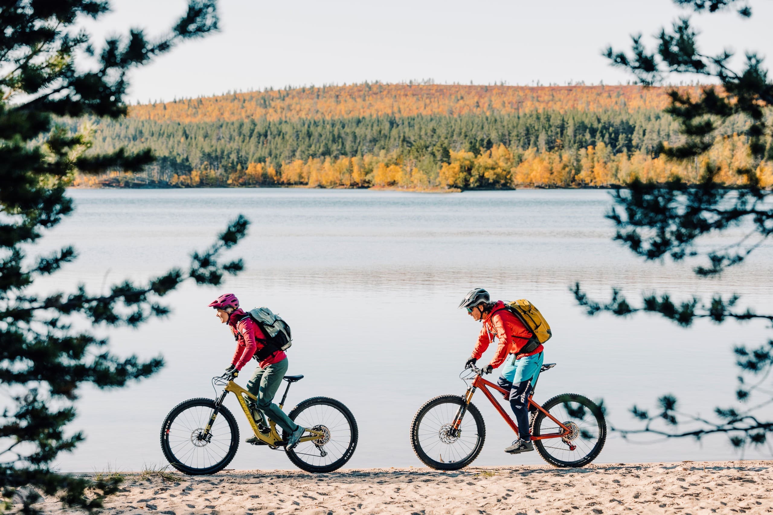 E-Fatbike Through Lapland: Reindeer Trails Tour in Sirkka Lappi photo 4