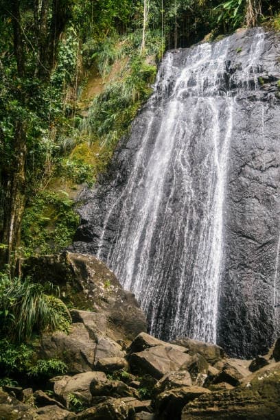 Adventure in El Yunque with SALTours LLC in Fajardo