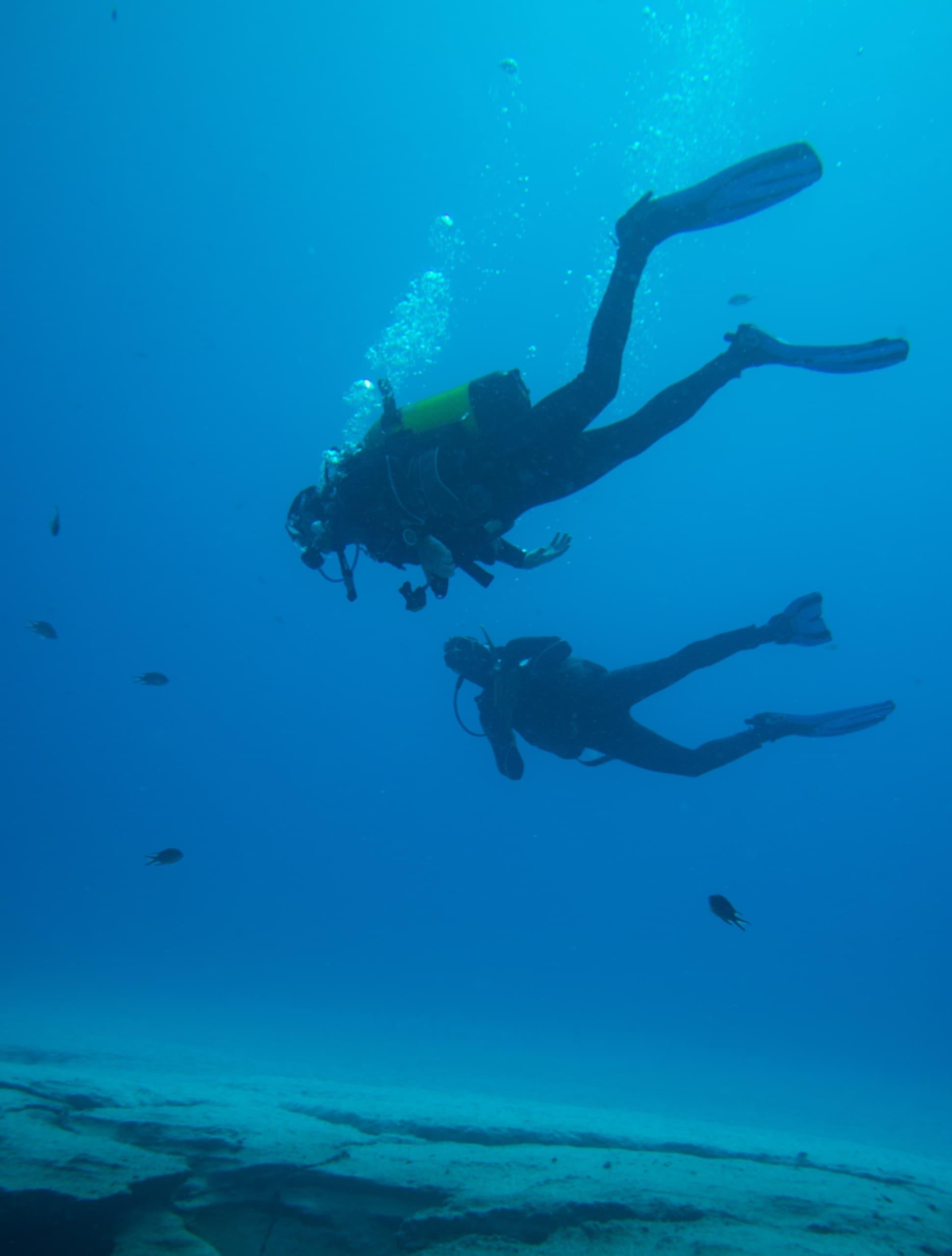 Sailbliss: Scuba, Sailing & Local Flavors in Alimos
