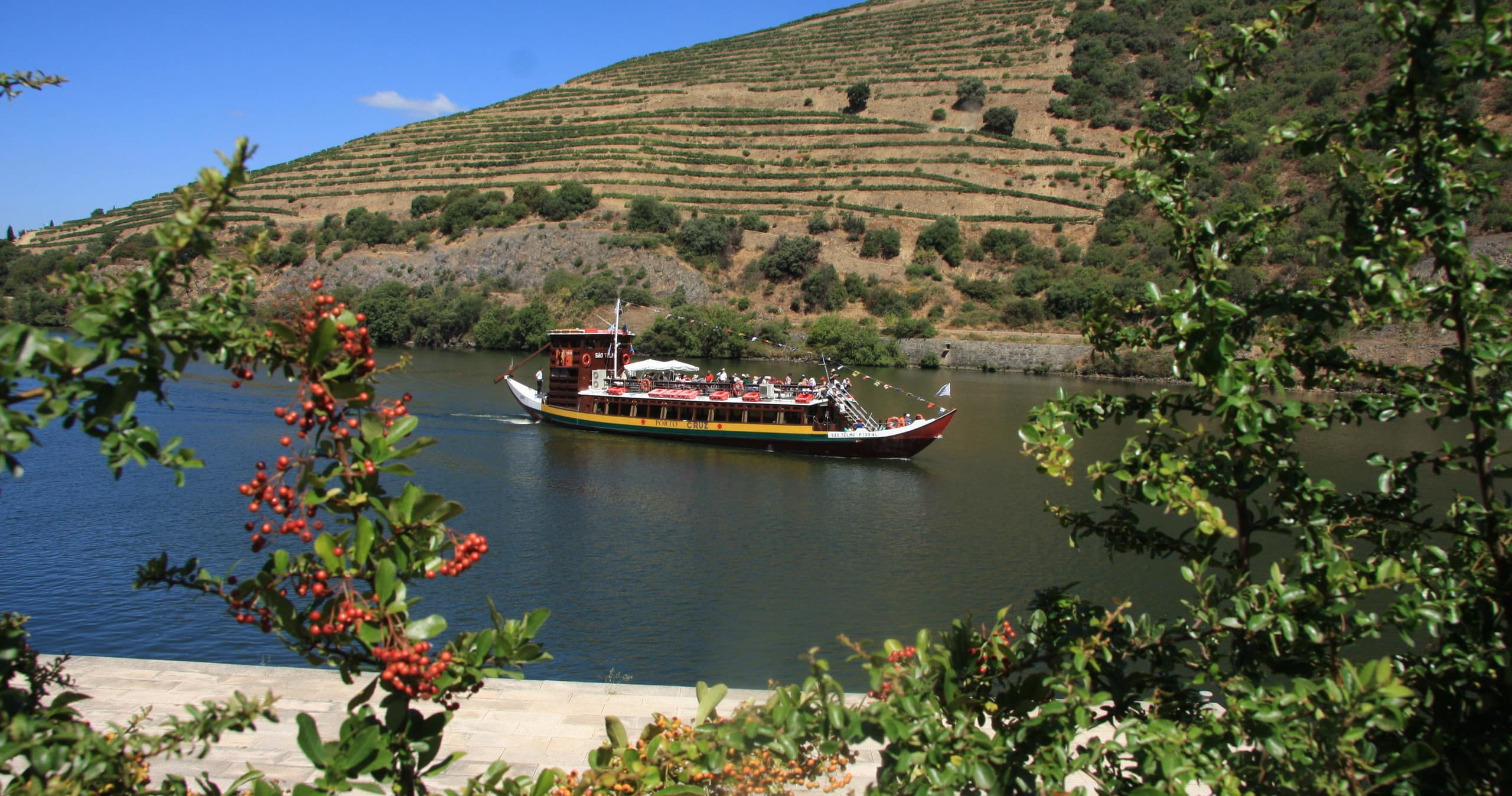 Douro River Journey: Tomaz do Douro’s Régua to Barca D'Alva