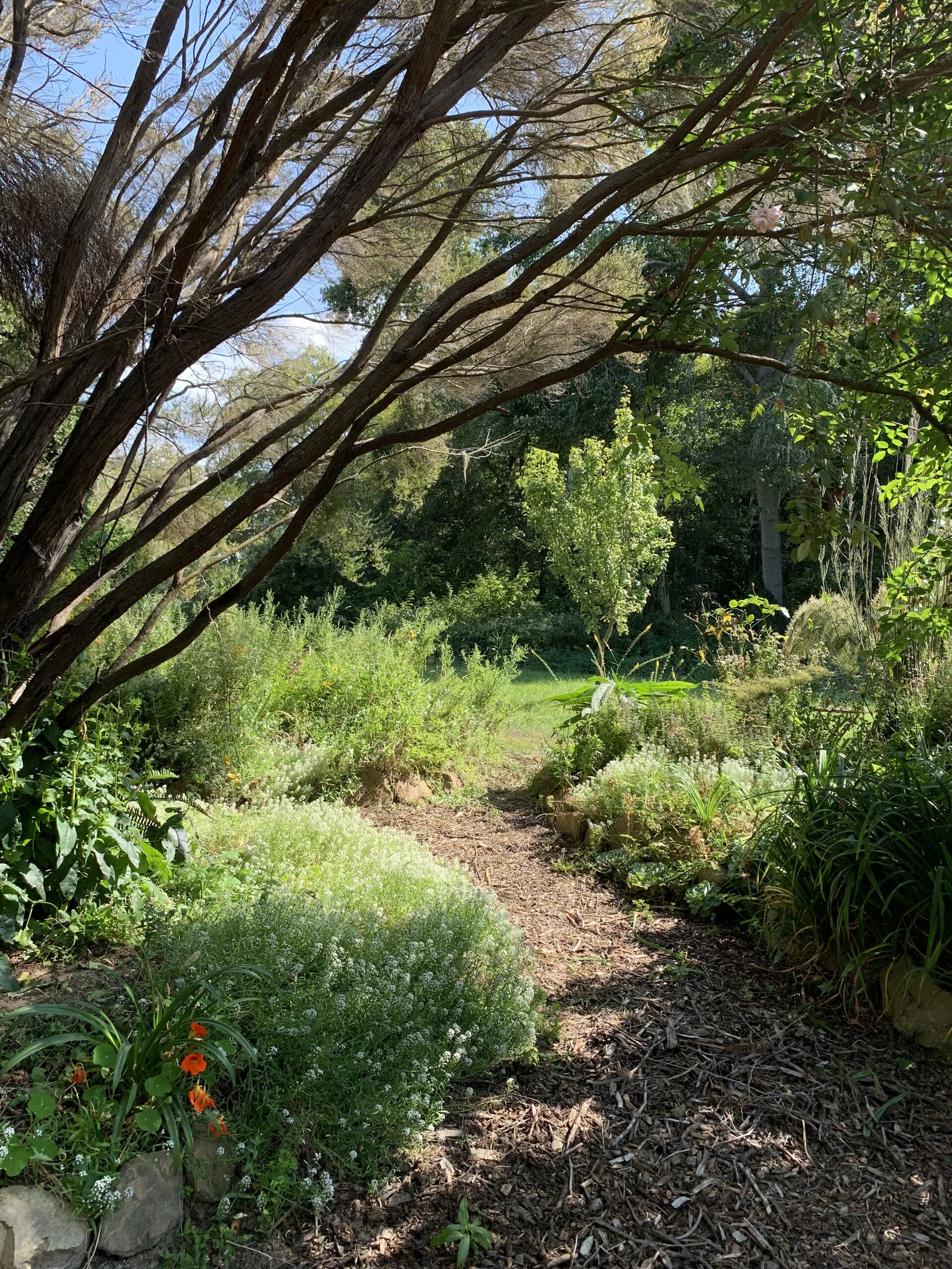 Summer Solstice Secret Garden Ritual in Pescadero