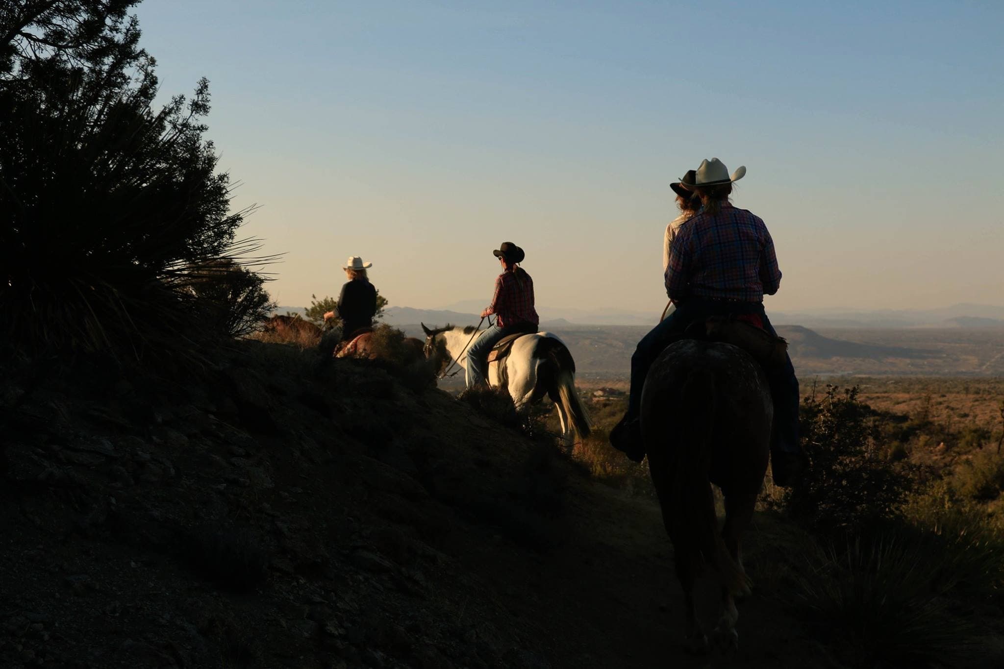 Wrangler Special Horseback Ride in Joshua Tree, CA