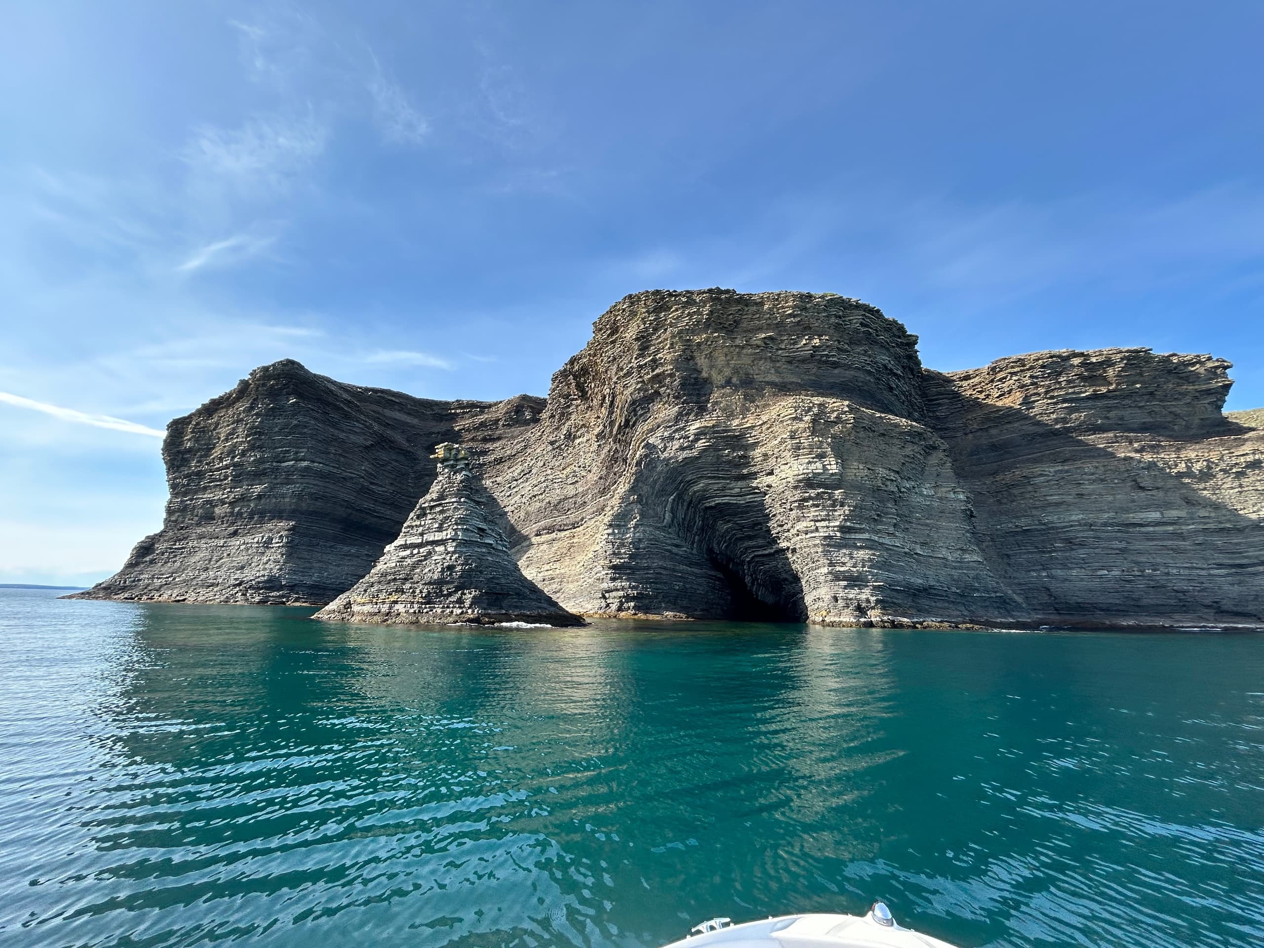 Afternoon Boat Tour Adventure in Port de Grave, Newfoundland