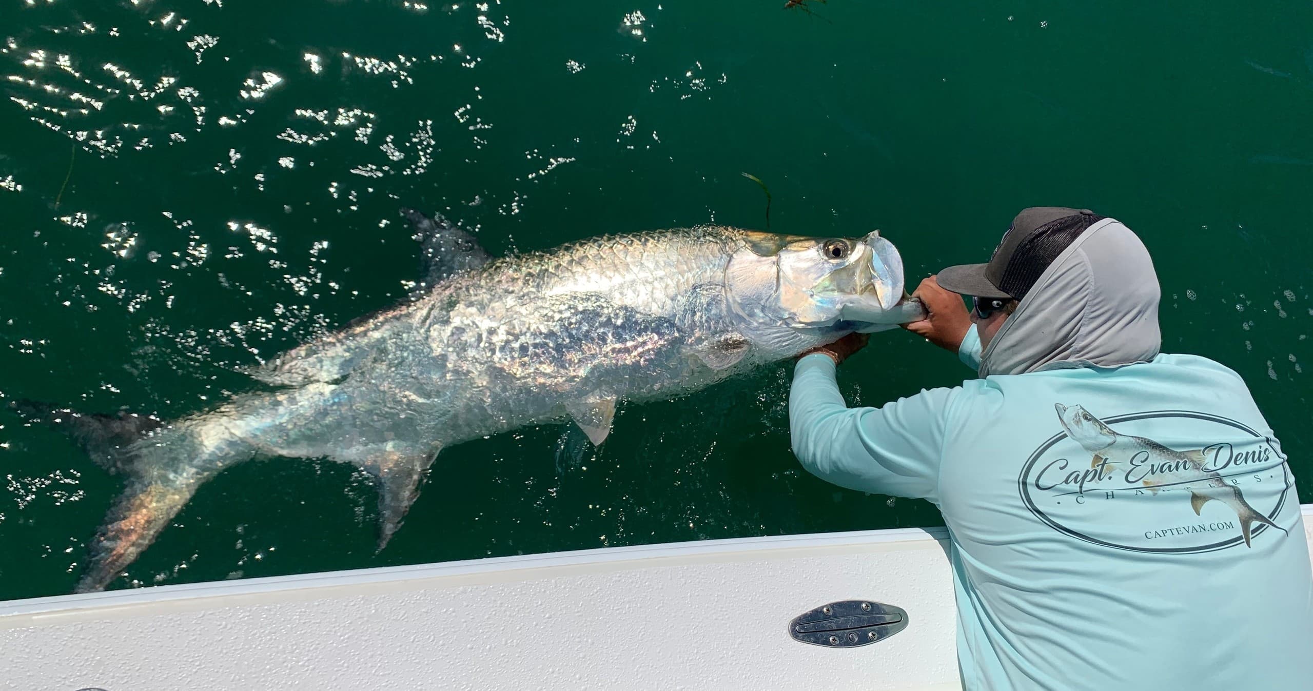 Fisherman landing tarpon alongside boat in deep green water