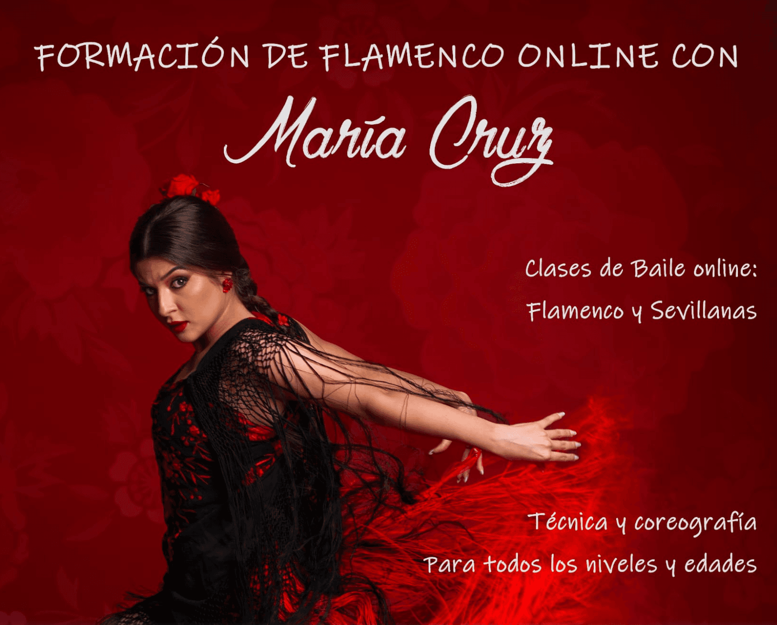 Centro El Lucero fleet