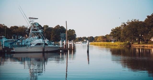 Nature & Eco Kayak Tour in Norfolk, Virginia