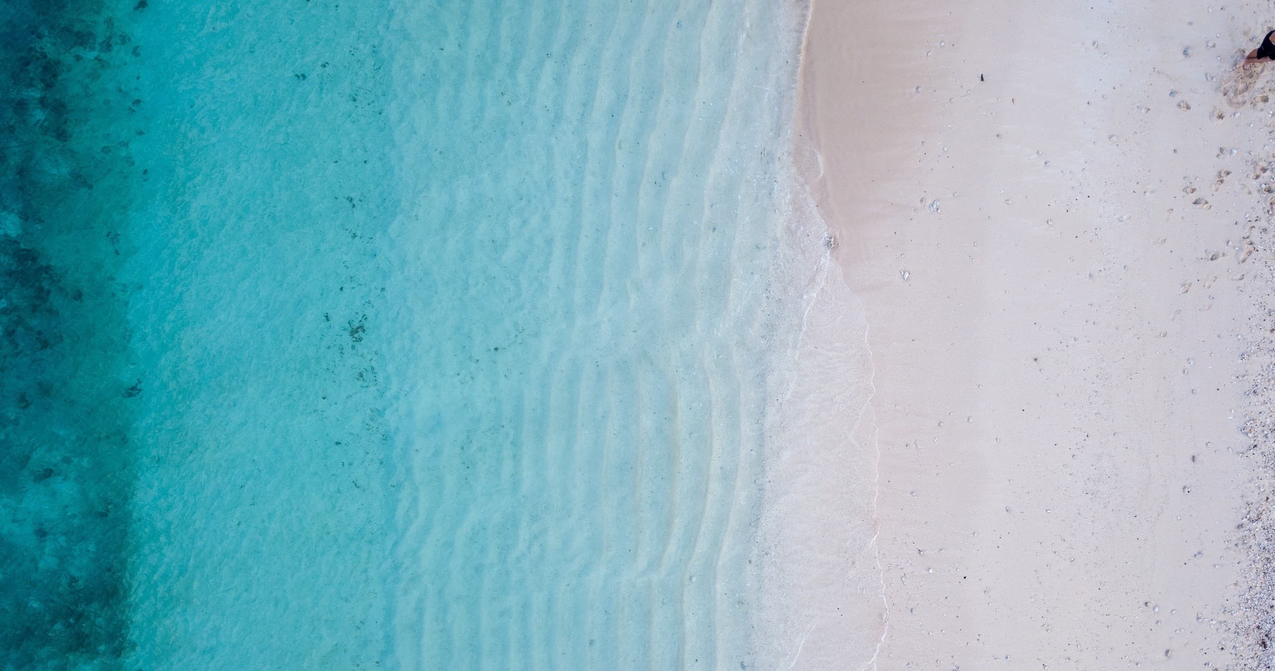 Coquina South Tour: Paddle Bradenton Beach's Hidden Gems