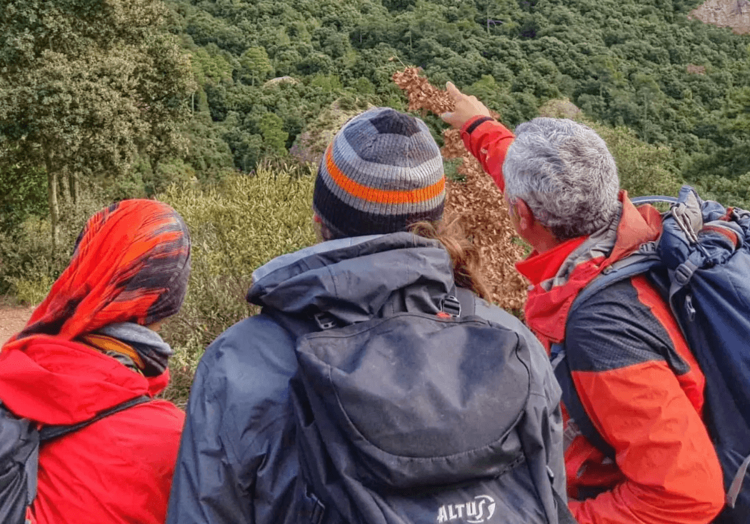 Hikers on mountain trail overlooking forested valley, pointing