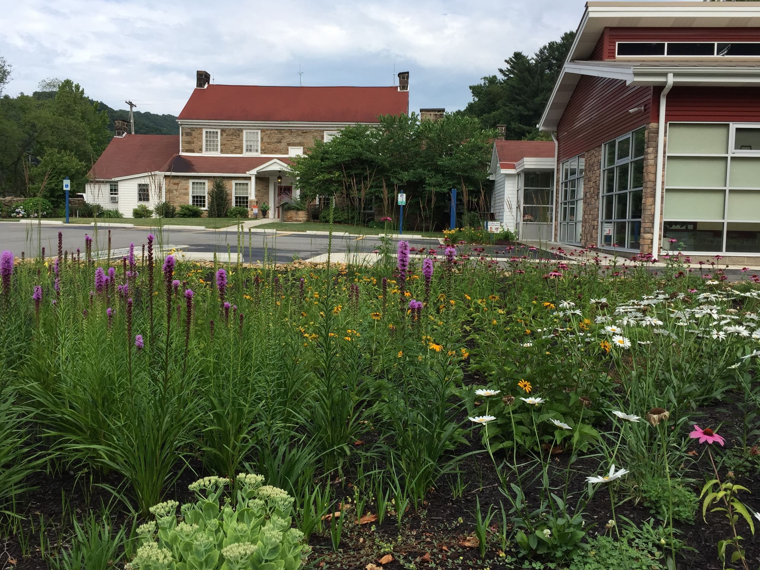 Wildflower garden and community center grounds in summer