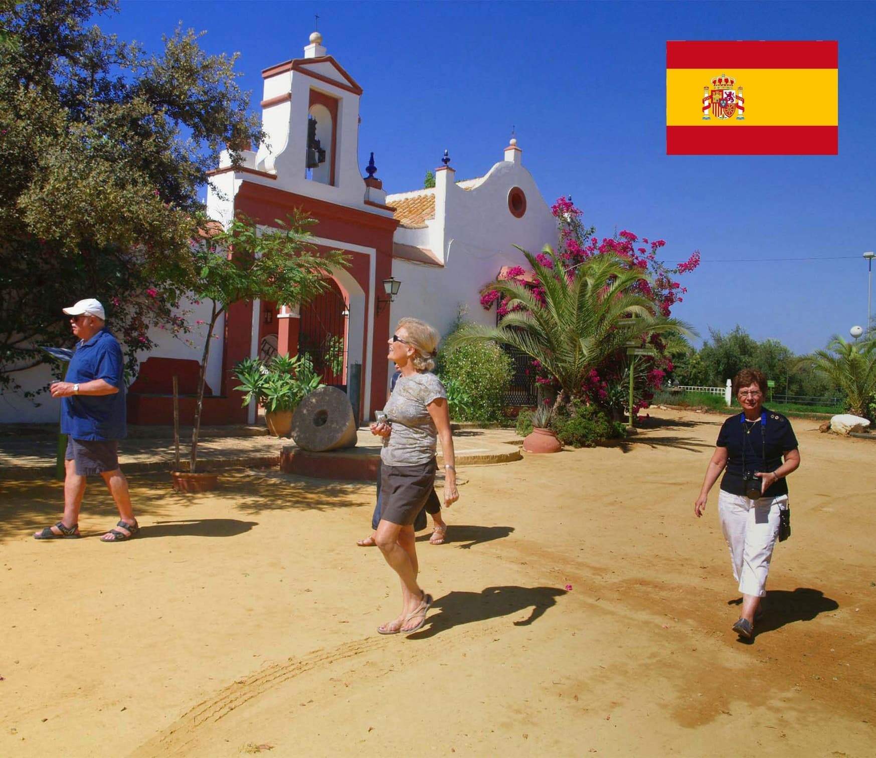 Andalusia Olive Oil Tasting at Basilippo Hacienda Merrha (Oleovisit Español)