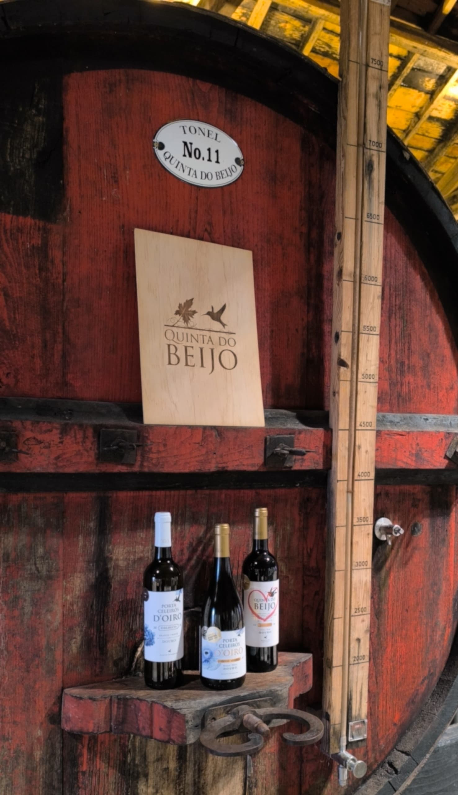 Douro Wine Tasting Experience at Quinta Do Beijo