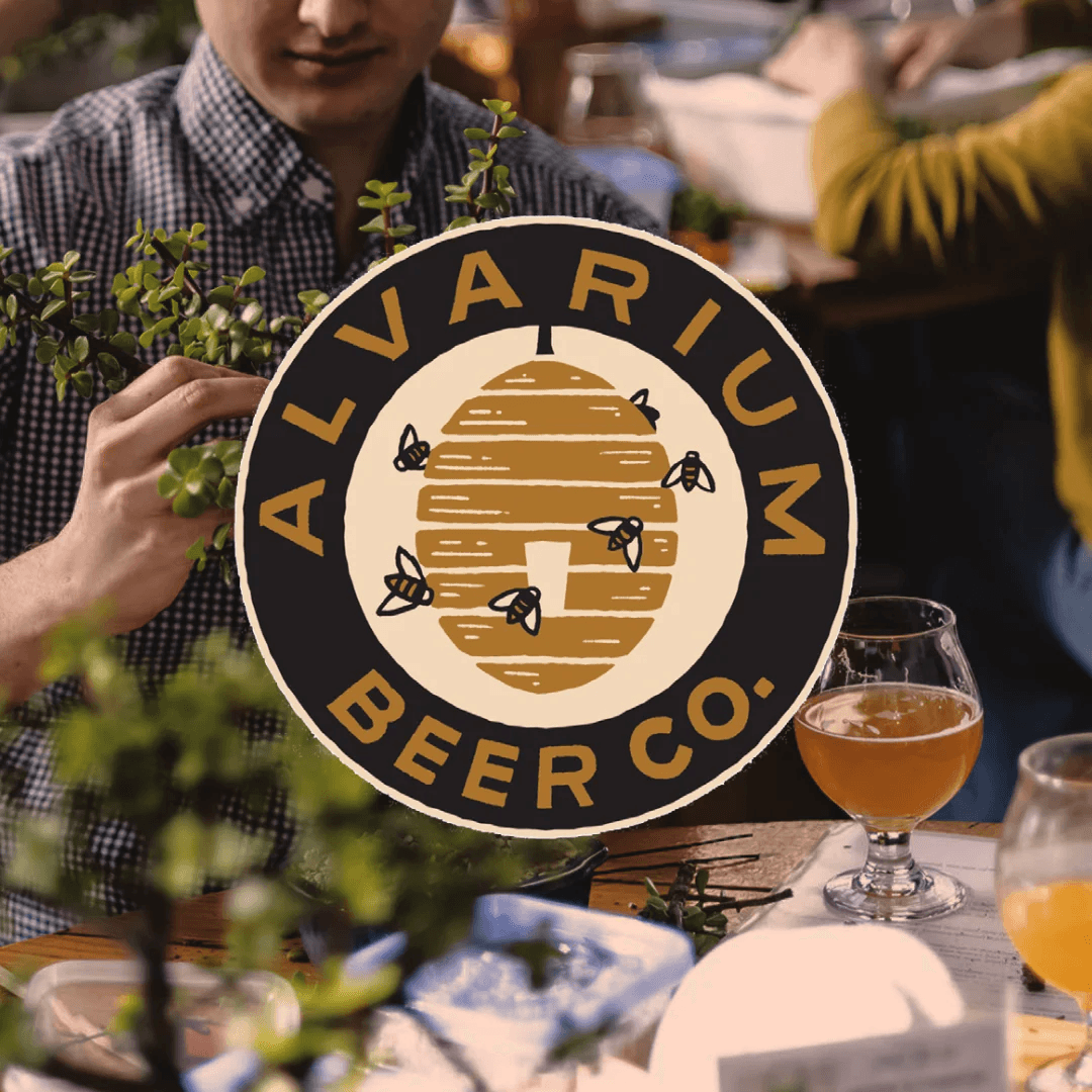 Bonsai Bar at Alvarium: Build Your First Tiny Tree in New Britain