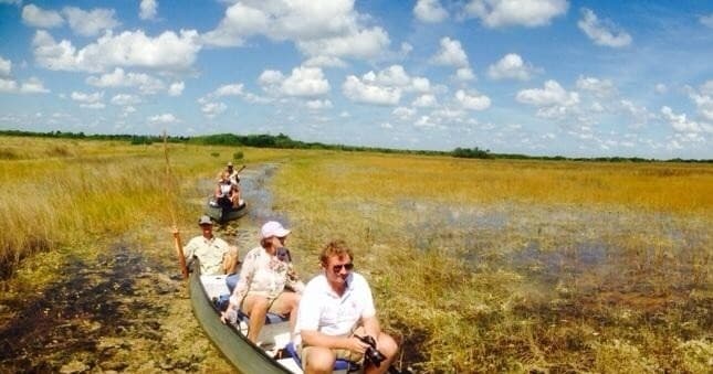 Guided canoe tour through expansive Everglades wetland grasses