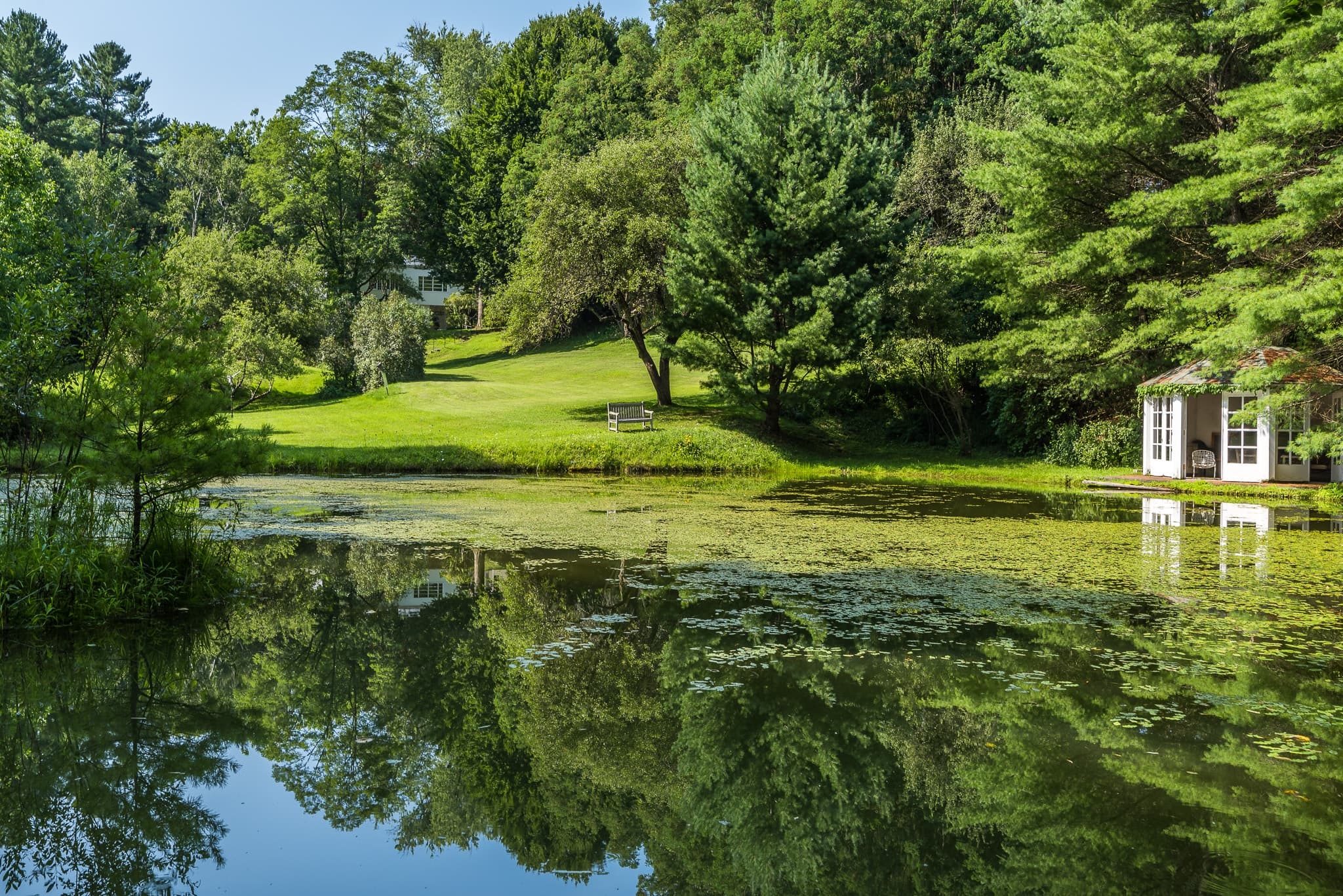 Art & Nature Walks at Frelinghuysen Morris House