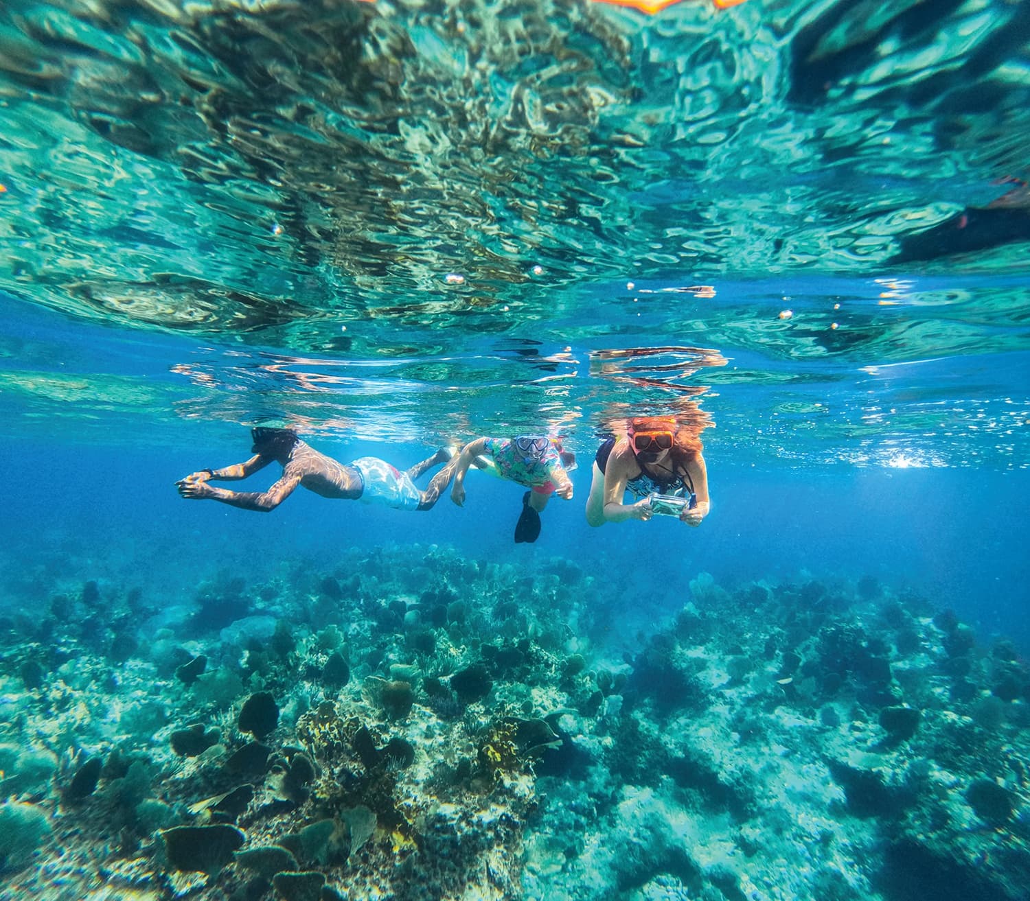 Grace Bay Snorkel Adventure: Barrier Reef & Half Moon Bay Day Trip photo 2