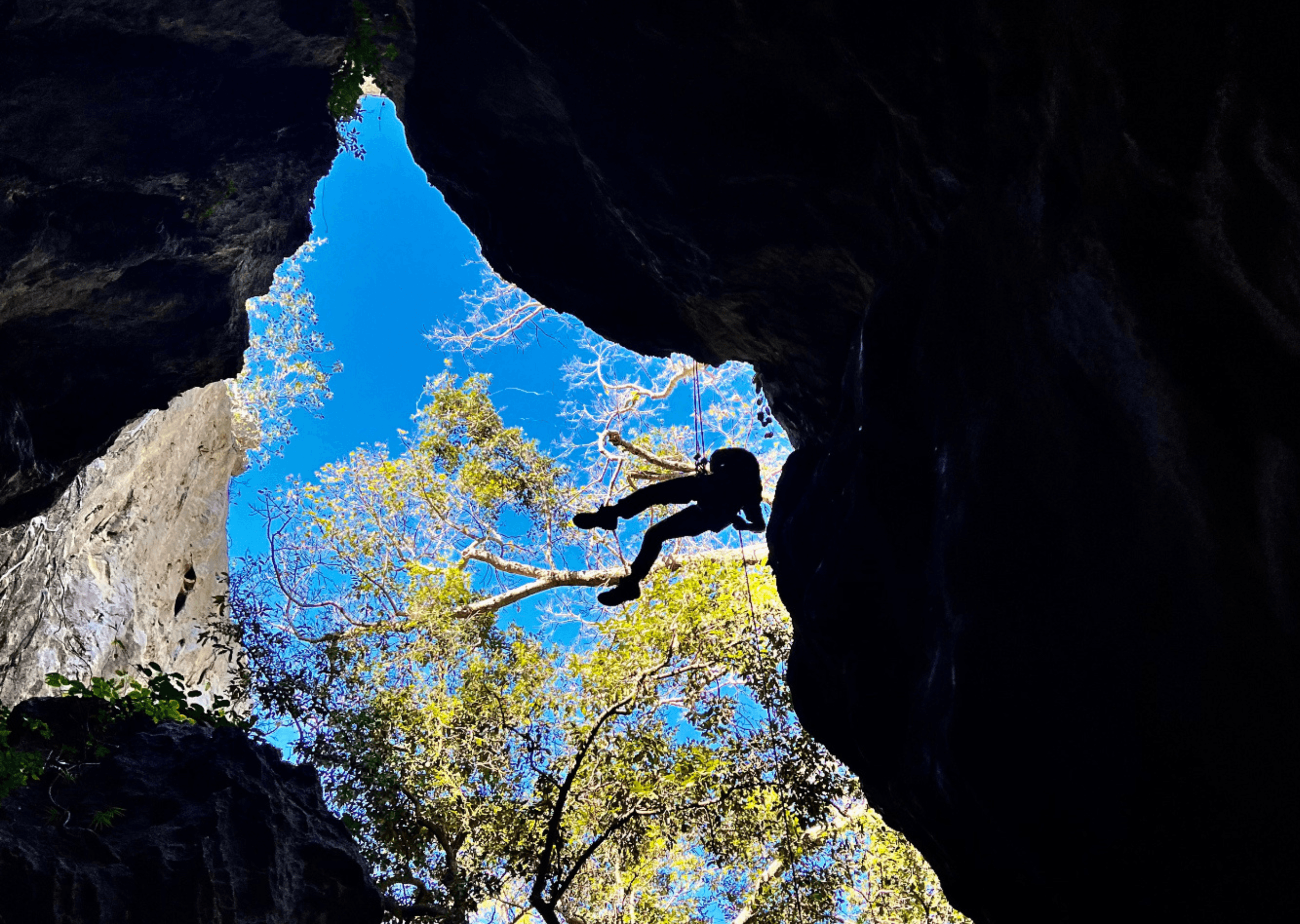 Teen Adrenalin Day at Capricorn Caves: Abseiling & Caving for Ages 14–18 photo 1