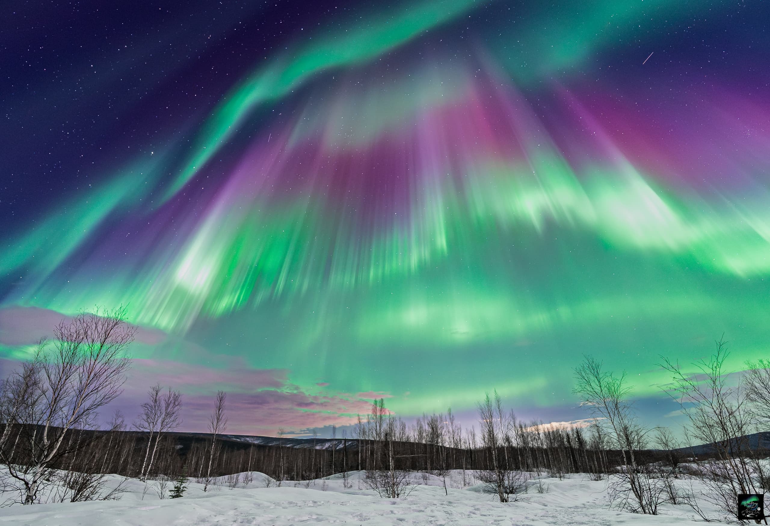 Aurora and Beyond: Full-Night Northern Lights Chase from Fairbanks to Ester photo 1