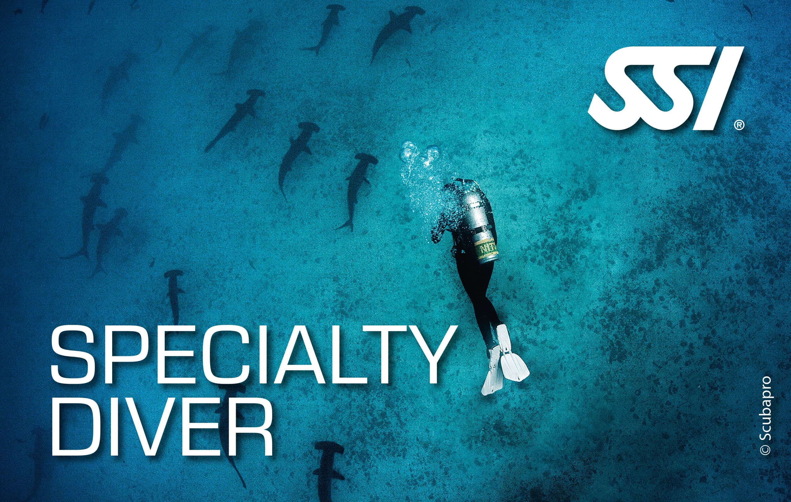 Specialty Diving Courses with Rich Coast Diving in Costa Rica