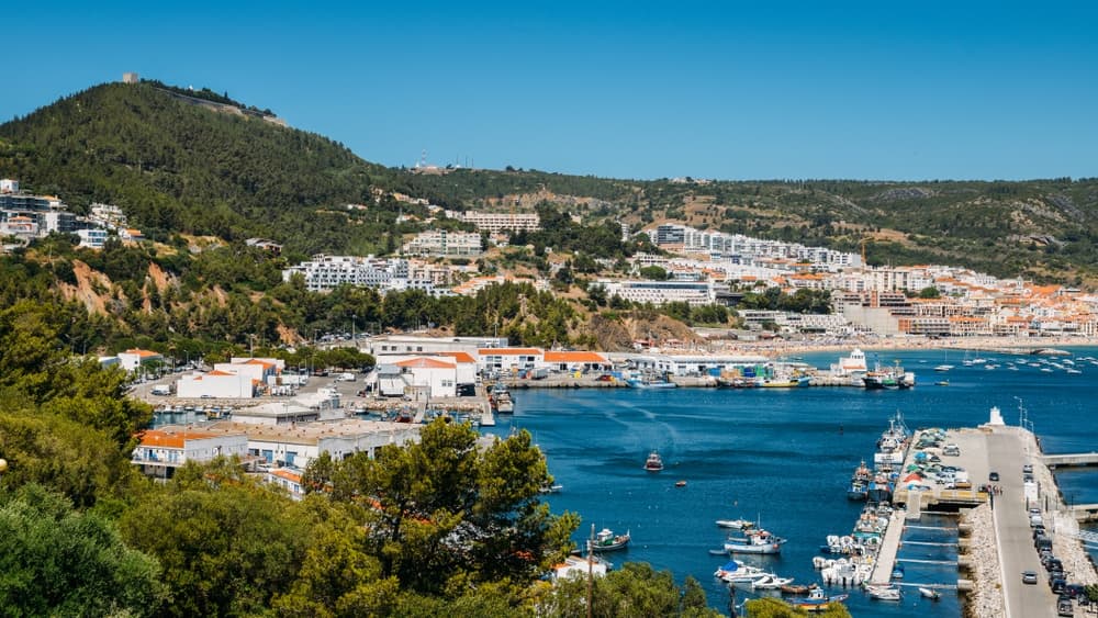 Arrábida Wine & Coastal Tour with Amazing Day 4U