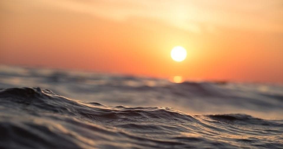 Sunset Cruise with Conch Cruises Inc in Jupiter