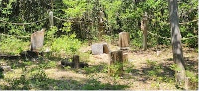 Explore Shackleford Banks: Historic Cemetery, Wild Horses & Maritime Forest Eco-Tour