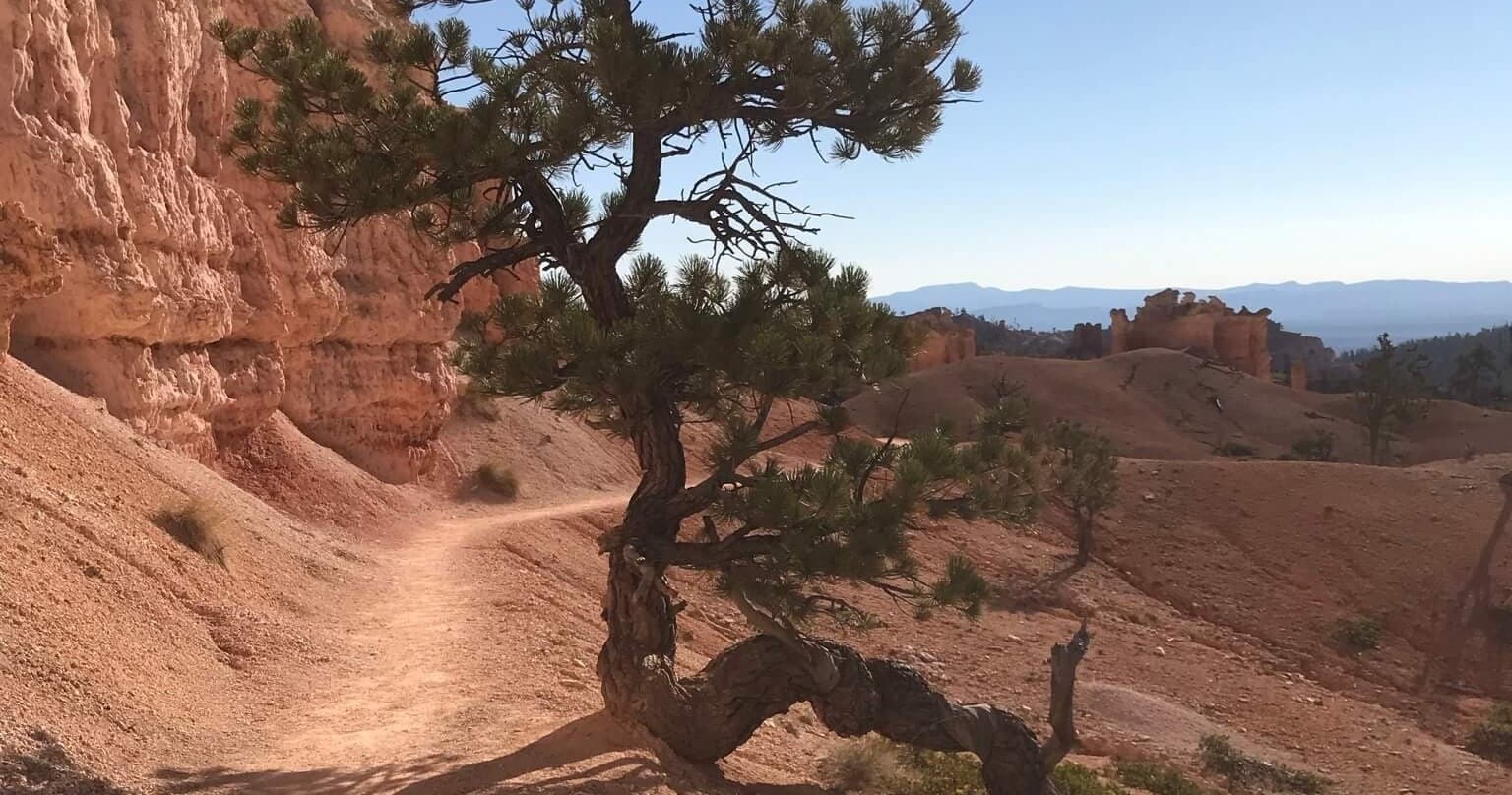 Into the Hoodoos: A 4.5-Hour Bryce Hiking Tour Through Amphitheaters photo 2