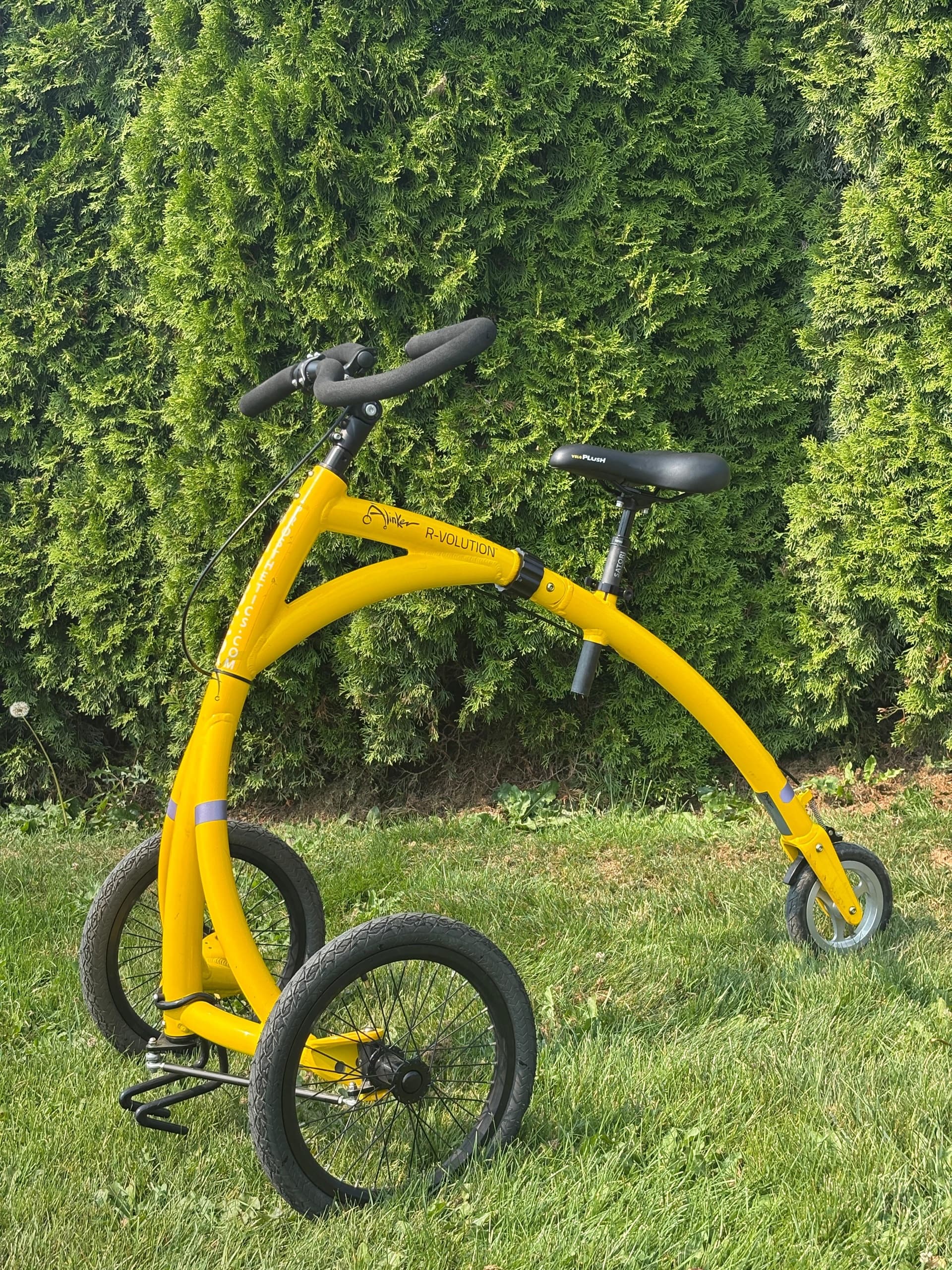 Accessible Mobility Adventures with RAD Society’s Alinker in Victoria