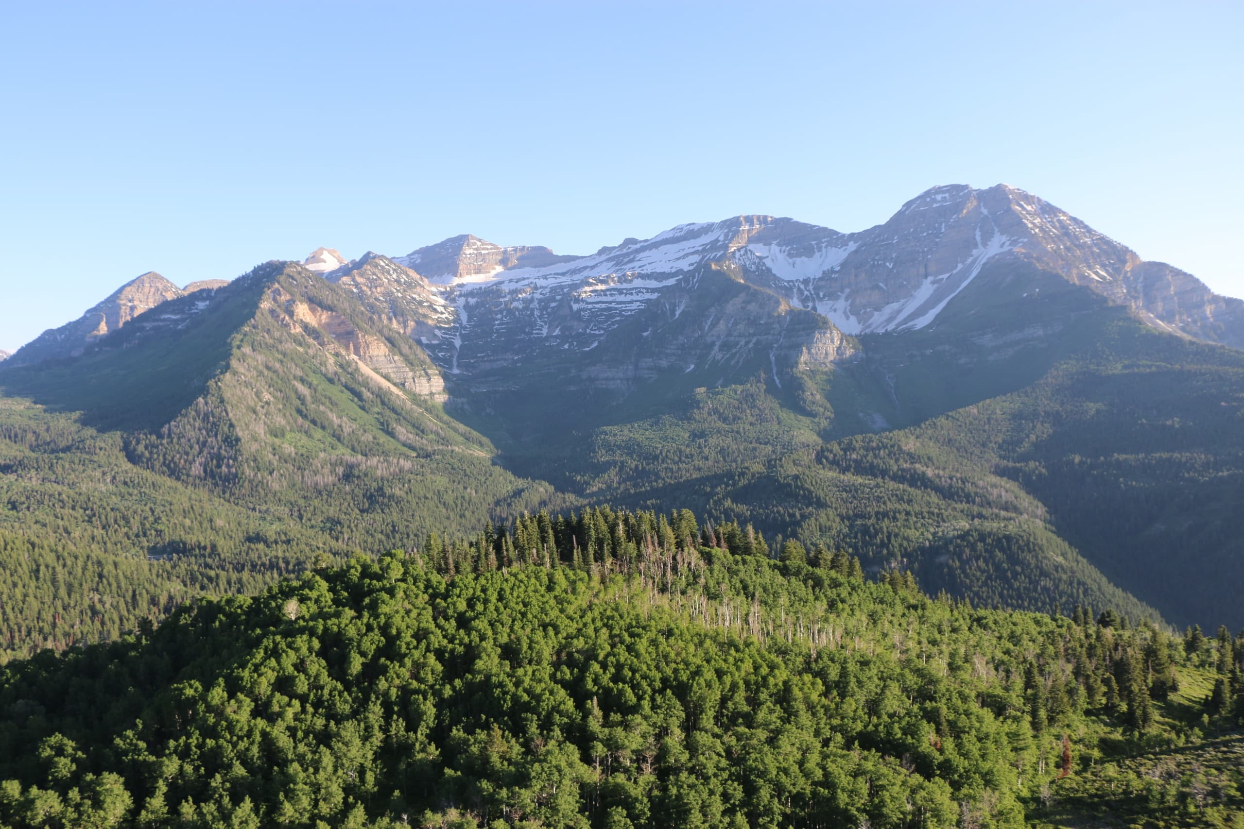 Panoramic mountain ridge and forested foothills in Utah wilderness