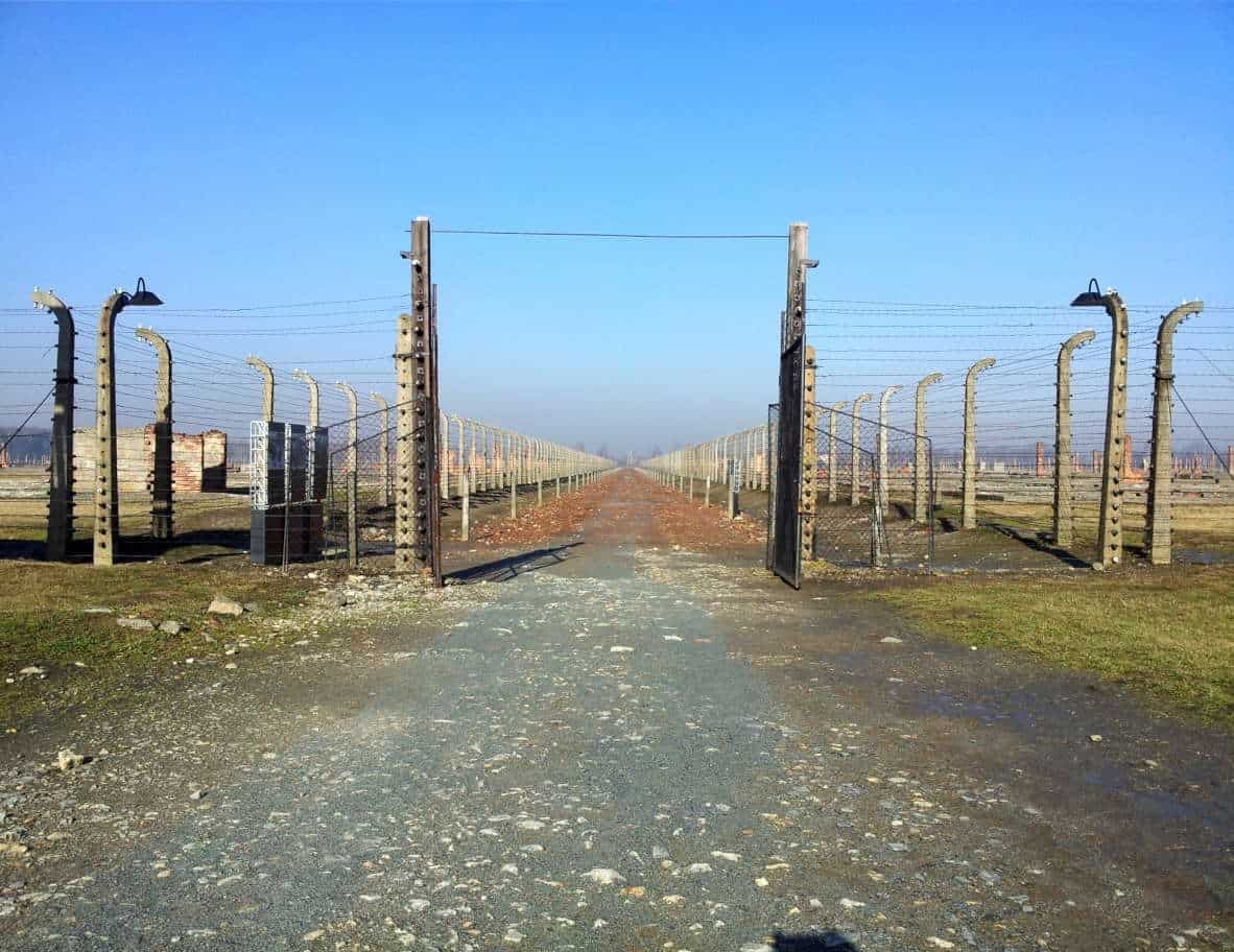 Auschwitz & Wieliczka Salt Mine Day Trip by AT Cracow