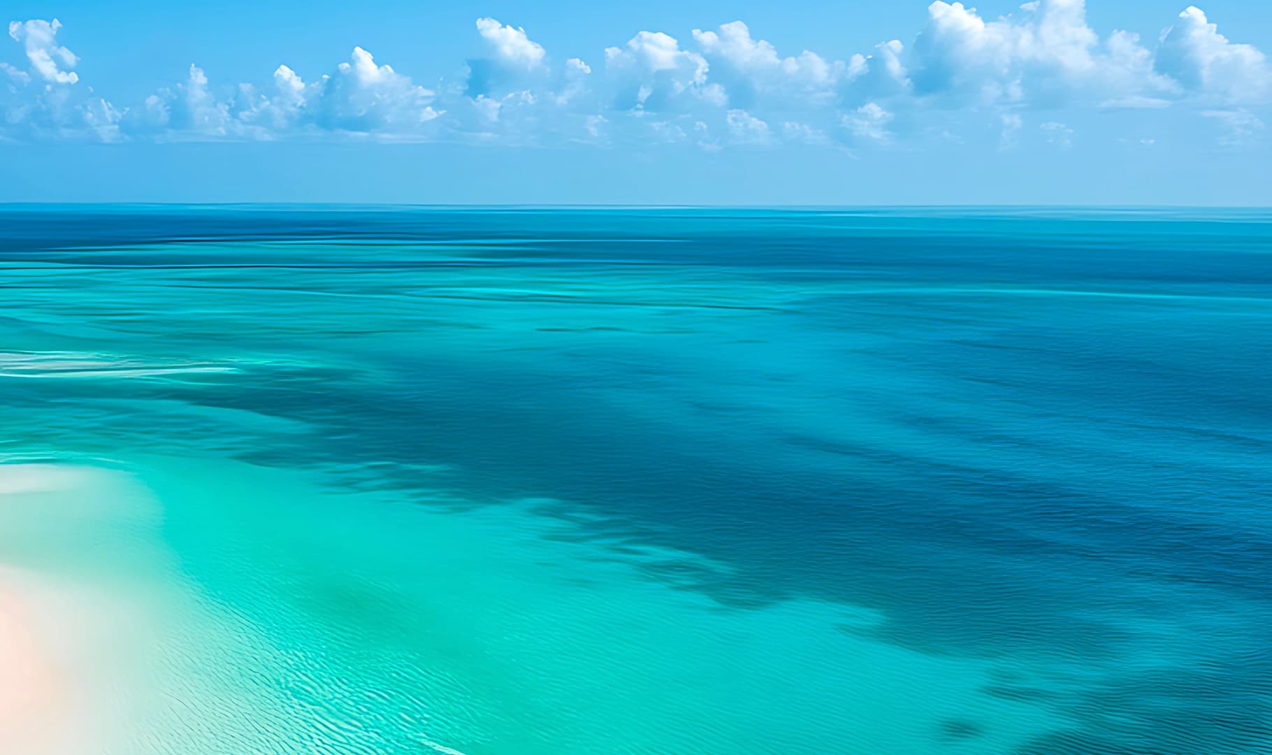 Sandbar Adventure with Wall to Wall Fishing Charters in Big Pine Key