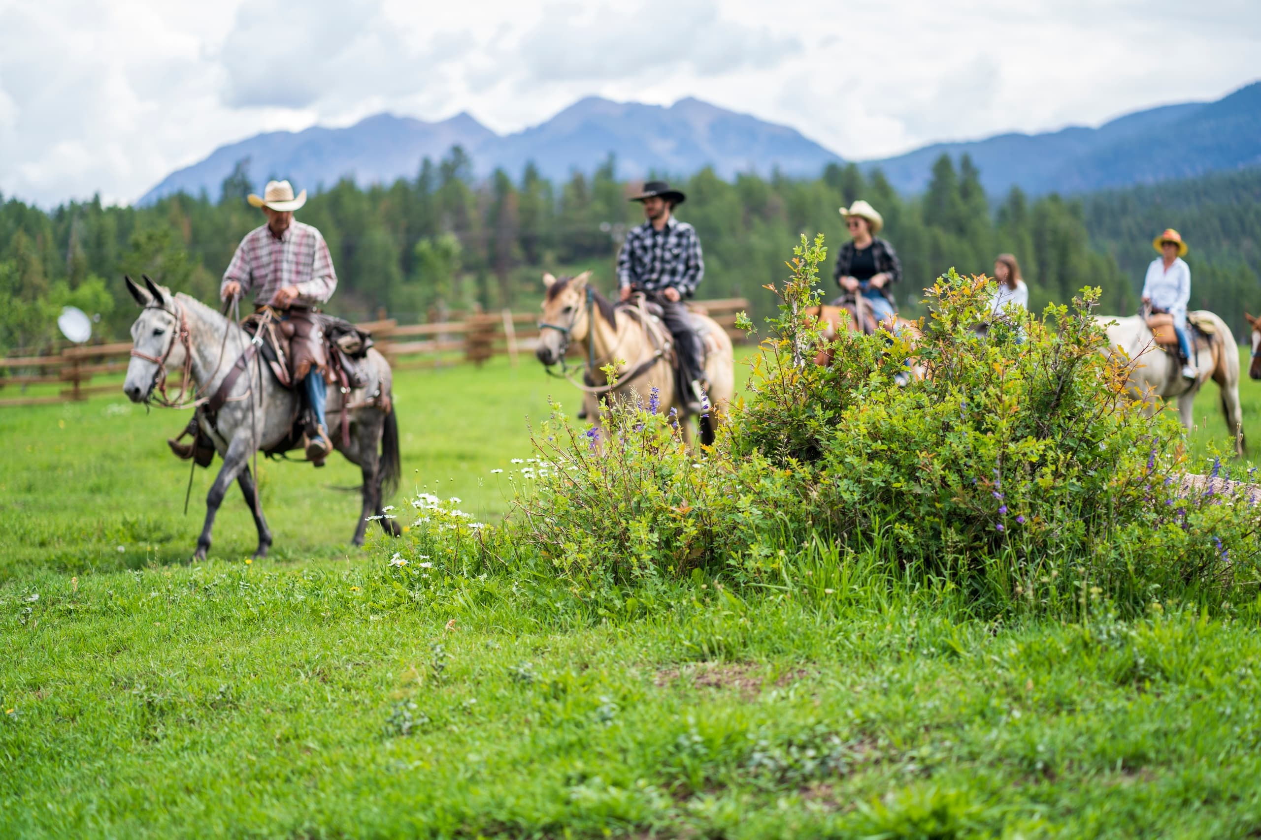 Riders cantering through green meadow with alpine peaks