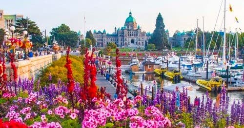 Harbor marina with boats and vibrant flower displays on waterfront