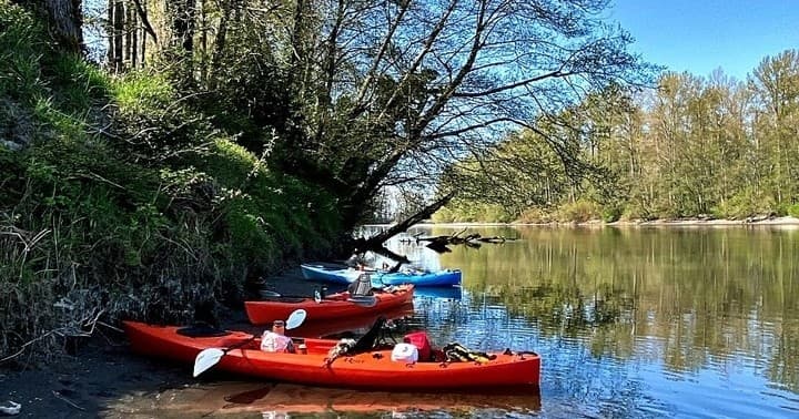 Beached colorful kayaks along shaded riverbank ready to launch