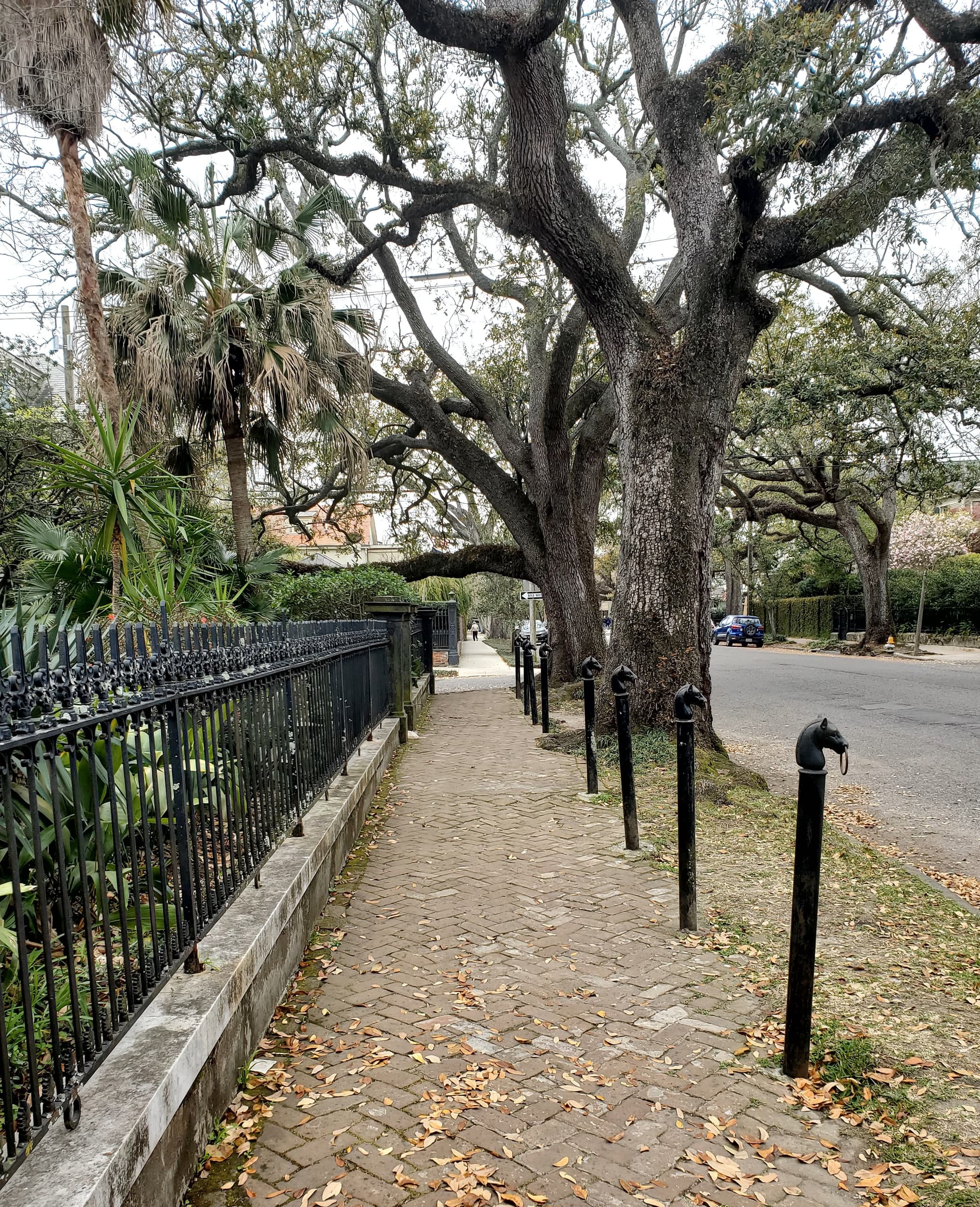 Historic Walking Tour & Garden District in New Orleans