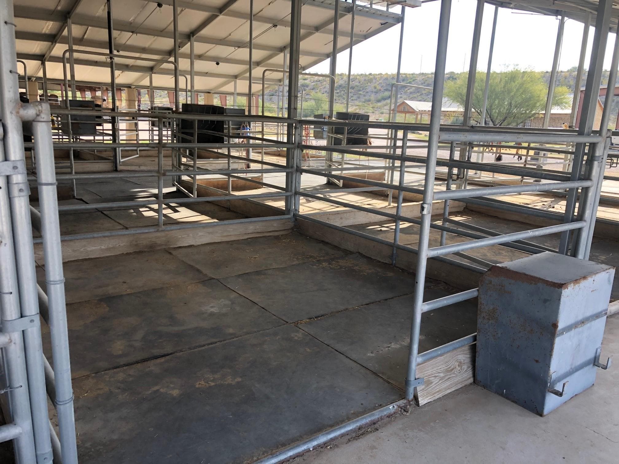 Comfortable Horse Stall Rental in Lajitas, Texas
