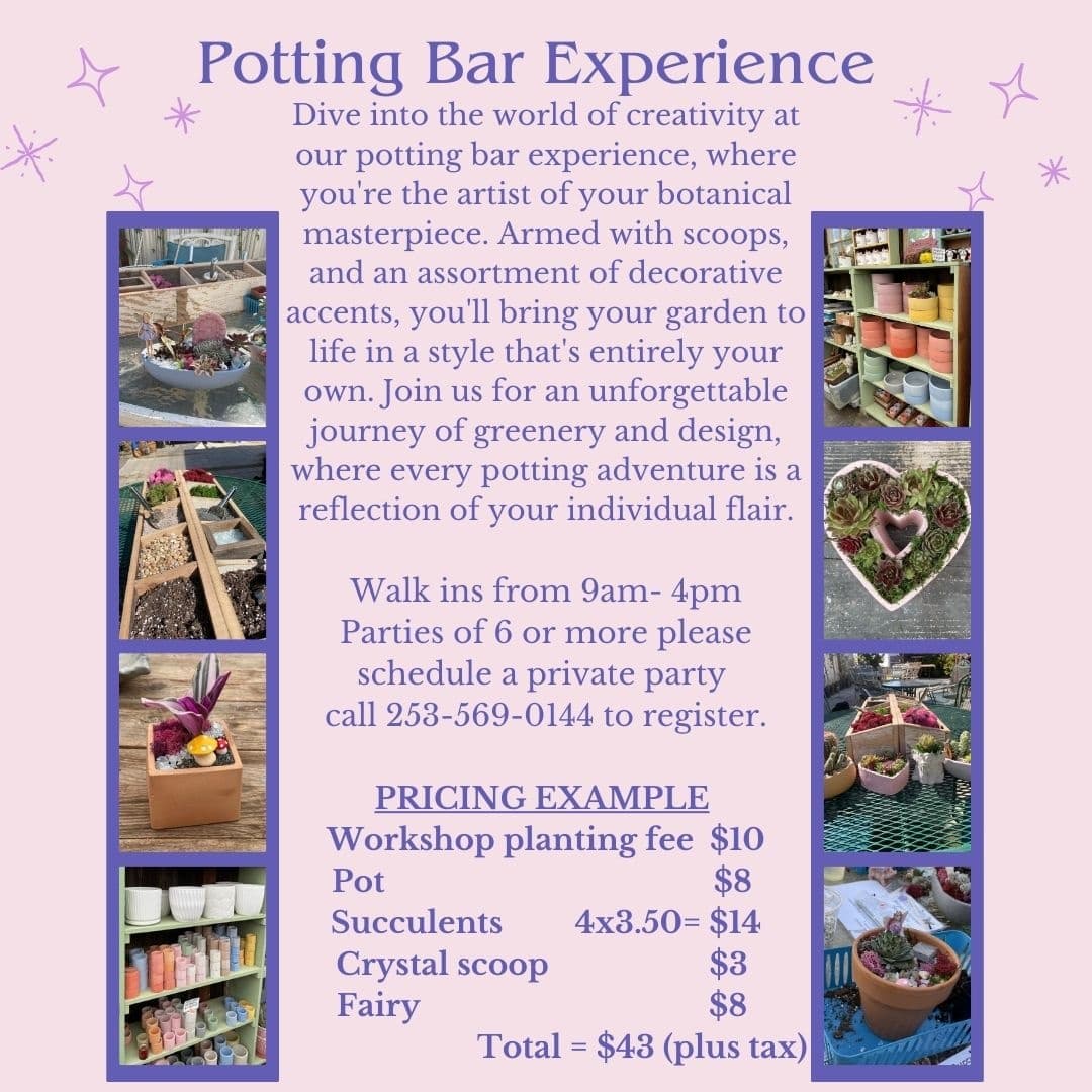 Mother's Day Potting Bar in Clovis: Succulent Workshop with Charcuterie & Bubbly photo 4